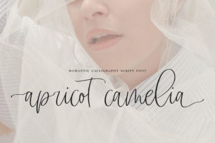 Apricot Camelia