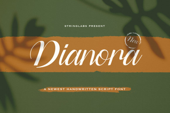 Dianora: A Script Font That Brings Warmth and Craft to Real Branding