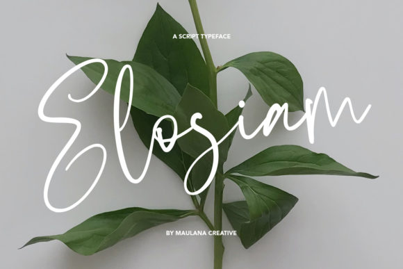Elosiam: A Romantic Handwritten Font for Digital Branding