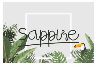 Font That Speaks: How Sappire Elevates Your Campaigns