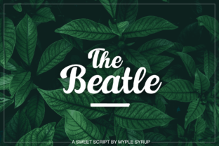The Beatle: A Playful Script Font for Distinctive Web Design